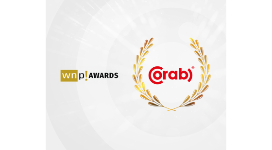 WNP Awards 2021 dla polskiego producenta systemów fotowoltaicznych