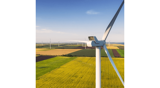 Unia Europejska wkracza na ścieżkę neutralności klimatycznej